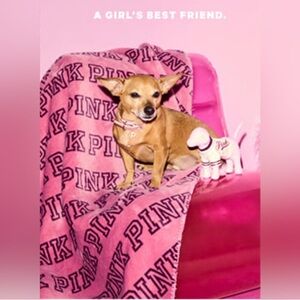 Victoria’s Secret PINK blanket and mini dog